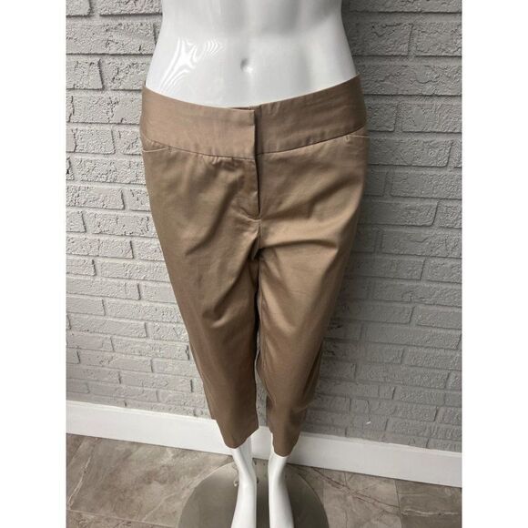 Worthington Modern Fit Flat Front Cropped Pant Size 10 - Picture 1 of 8
